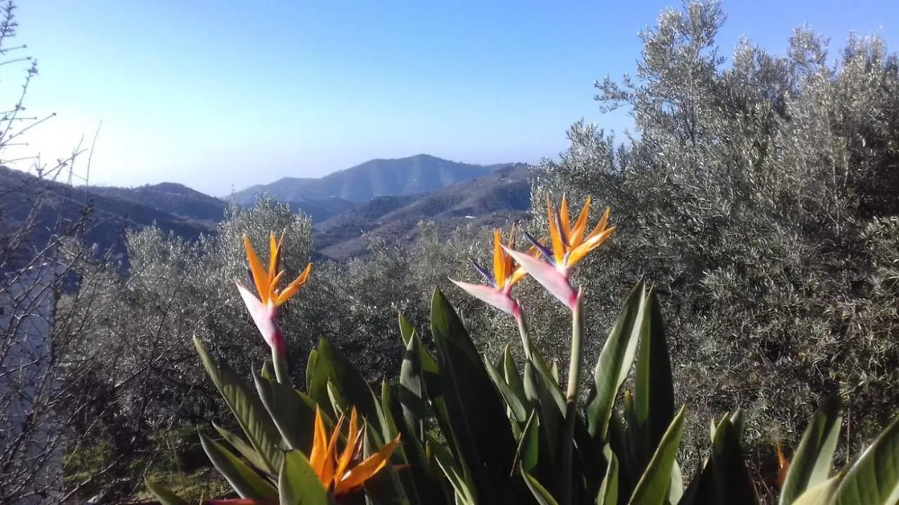 Nyaraló Finca Vina Villa Árchez